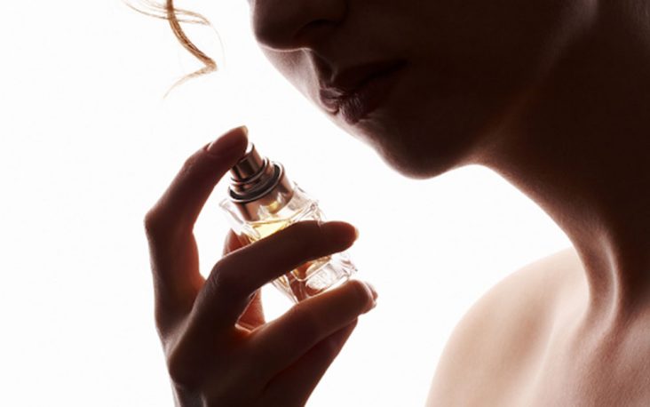 notas olfativas de los perfume online-perfumesregalo